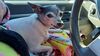 Filename=20241120_001.jpg
Filesize=316KiB
Dimensions=2048x1152
Date added=Jun 14, 2025 20241120_001.jpg