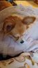 20241120_005.jpg