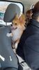 Filename=20241211_001.jpg
Filesize=1794KiB
Dimensions=1152x2048
Date added=Jun 19, 2025 20241211_001.jpg
