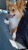 Filename=20241211_002.jpg
Filesize=2301KiB
Dimensions=1152x2048
Date added=Jun 19, 2025 20241211_002.jpg