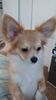 Filename=20241213_001.jpg
Filesize=637KiB
Dimensions=1152x2048
Date added=Jun 19, 2025 20241213_001.jpg