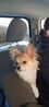 Filename=20241213_003.jpg
Filesize=1500KiB
Dimensions=937x2046
Date added=Jun 19, 2025 20241213_003.jpg