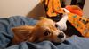 Filename=20241215_001.jpg
Filesize=1143KiB
Dimensions=2048x1152
Date added=Jun 19, 2025 20241215_001.jpg