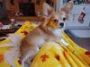 Filename=20241215_003.jpg
Filesize=2963KiB
Dimensions=2048x1536
Date added=Jun 19, 2025 20241215_003.jpg
