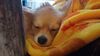 Filename=20241218_003.jpg
Filesize=847KiB
Dimensions=2048x1152
Date added=Jun 19, 2025 20241218_003.jpg
