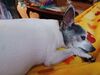 Filename=20241218_006.jpg
Filesize=3010KiB
Dimensions=2048x1536
Date added=Jun 19, 2025 20241218_006.jpg