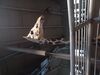 Filename=20241220_013.jpg
Filesize=3344KiB
Dimensions=2048x1536
Date added=Jun 19, 2025 20241220_013.jpg