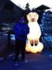 Filename=20241220_022.jpg
Filesize=1956KiB
Dimensions=1536x2048
Date added=Jun 19, 2025 20241220_022.jpg