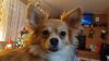Filename=20241222_007.jpg
Filesize=1025KiB
Dimensions=2048x1152
Date added=Jun 19, 2025 20241222_007.jpg