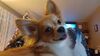 Filename=20241222_008.jpg
Filesize=1168KiB
Dimensions=2048x1152
Date added=Jun 19, 2025 20241222_008.jpg