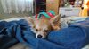 Filename=20241225_003.jpg
Filesize=1383KiB
Dimensions=2048x1152
Date added=Jun 19, 2025 20241225_003.jpg