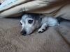 Filename=20241225_005.jpg
Filesize=4405KiB
Dimensions=2048x1536
Date added=Jun 19, 2025 20241225_005.jpg