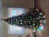 Filename=20241225_007.jpg
Filesize=3906KiB
Dimensions=2048x1536
Date added=Jun 19, 2025 20241225_007.jpg