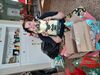 Filename=20241225_046.jpg
Filesize=2871KiB
Dimensions=2048x1536
Date added=Jun 19, 2025 20241225_046.jpg