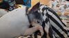 Filename=20241230_002.jpg
Filesize=1368KiB
Dimensions=2048x1152
Date added=Jun 19, 2025 20241230_002.jpg