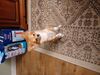 Filename=20250102_012.jpg
Filesize=3770KiB
Dimensions=2048x1536
Date added=Jul 08, 2025 20250102_012.jpg
