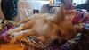 Filename=20250103_003.jpg
Filesize=842KiB
Dimensions=2048x1152
Date added=Jul 08, 2025 20250103_003.jpg
