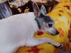 Filename=20250125_002.jpg
Filesize=2685KiB
Dimensions=2048x1536
Date added=Jul 08, 2025 20250125_002.jpg