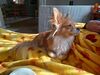Filename=20250208_001.jpg
Filesize=1788KiB
Dimensions=2048x1536
Date added=Jul 09, 2025 20250208_001.jpg