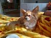 Filename=20250208_002.jpg
Filesize=1817KiB
Dimensions=2048x1536
Date added=Jul 09, 2025 20250208_002.jpg