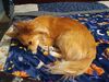 Filename=20250208_004.jpg
Filesize=2181KiB
Dimensions=2048x1536
Date added=Jul 09, 2025 20250208_004.jpg