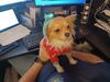 Filename=20250214_002.jpg
Filesize=2990KiB
Dimensions=2048x1536
Date added=Jul 09, 2025 20250214_002.jpg