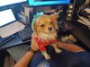 Filename=20250214_003.jpg
Filesize=2719KiB
Dimensions=2048x1536
Date added=Jul 09, 2025 20250214_003.jpg