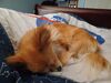 Filename=20250223_001.jpg
Filesize=1218KiB
Dimensions=2048x1536
Date added=Jul 09, 2025 20250223_001.jpg