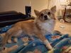Filename=20250227_001.jpg
Filesize=3273KiB
Dimensions=2048x1536
Date added=Jul 09, 2025 20250227_001.jpg