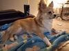 Filename=20250227_002.jpg
Filesize=3232KiB
Dimensions=2048x1536
Date added=Jul 09, 2025 20250227_002.jpg