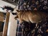 Filename=20250228_001.jpg
Filesize=3384KiB
Dimensions=2048x1536
Date added=Jul 09, 2025 20250228_001.jpg