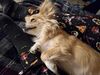 Filename=20250228_003.jpg
Filesize=3476KiB
Dimensions=2048x1536
Date added=Jul 09, 2025 20250228_003.jpg