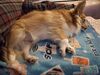Filename=20250301_002.jpg
Filesize=3280KiB
Dimensions=2048x1536
Date added=Jul 09, 2025 20250301_002.jpg