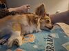 Filename=20250301_003.jpg
Filesize=3272KiB
Dimensions=2048x1536
Date added=Jul 09, 2025 20250301_003.jpg