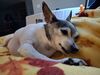 Filename=20250301_005.jpg
Filesize=3270KiB
Dimensions=2048x1536
Date added=Jul 09, 2025 20250301_005.jpg