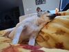 Filename=20250301_006.jpg
Filesize=2838KiB
Dimensions=2048x1536
Date added=Jul 09, 2025 20250301_006.jpg