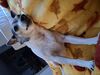 Filename=20250301_007.jpg
Filesize=3421KiB
Dimensions=2048x1536
Date added=Jul 09, 2025 20250301_007.jpg