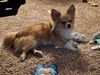 Filename=20250302_001.jpg
Filesize=2904KiB
Dimensions=2048x1536
Date added=Jul 09, 2025 20250302_001.jpg