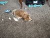 Filename=20250303_001.jpg
Filesize=5354KiB
Dimensions=2048x1536
Date added=Jul 09, 2025 20250303_001.jpg
