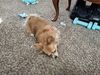 Filename=20250303_002.jpg
Filesize=4866KiB
Dimensions=2048x1536
Date added=Jul 09, 2025 20250303_002.jpg