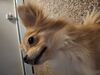 Filename=20250305_004.jpg
Filesize=3074KiB
Dimensions=2048x1536
Date added=Jul 09, 2025 20250305_004.jpg