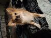 Filename=20250307_001.jpg
Filesize=4017KiB
Dimensions=2048x1536
Date added=Jul 09, 2025 20250307_001.jpg