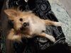 Filename=20250307_002.jpg
Filesize=3668KiB
Dimensions=2048x1536
Date added=Jul 09, 2025 20250307_002.jpg