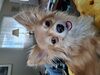 Filename=20250314_003.jpg
Filesize=3669KiB
Dimensions=2048x1536
Date added=Jul 09, 2025 20250314_003.jpg