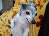 Filename=20250314_005.jpg
Filesize=4079KiB
Dimensions=2048x1536
Date added=Jul 09, 2025 20250314_005.jpg