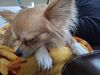 Filename=20250314_007.jpg
Filesize=3617KiB
Dimensions=2048x1536
Date added=Jul 09, 2025 20250314_007.jpg