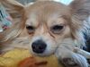 Filename=20250314_009.jpg
Filesize=3342KiB
Dimensions=2048x1536
Date added=Jul 09, 2025 20250314_009.jpg