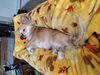 Filename=20250315_001.jpg
Filesize=4192KiB
Dimensions=2048x1536
Date added=Jul 09, 2025 20250315_001.jpg