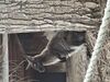 Filename=20250328_029.jpg
Filesize=4246KiB
Dimensions=2048x1536
Date added=Jul 09, 2025 20250328_029.jpg