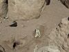 Filename=20250328_038.jpg
Filesize=4979KiB
Dimensions=2048x1536
Date added=Jul 09, 2025 20250328_038.jpg